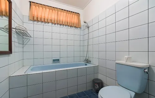 Bali Wirasana Inn Rooms Photos