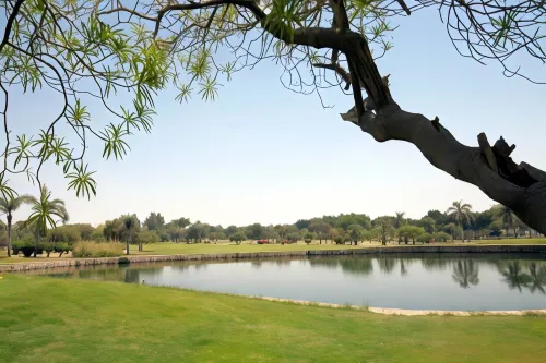 Swiss Inn Pyramids Golf Resort Near Hotel Photos