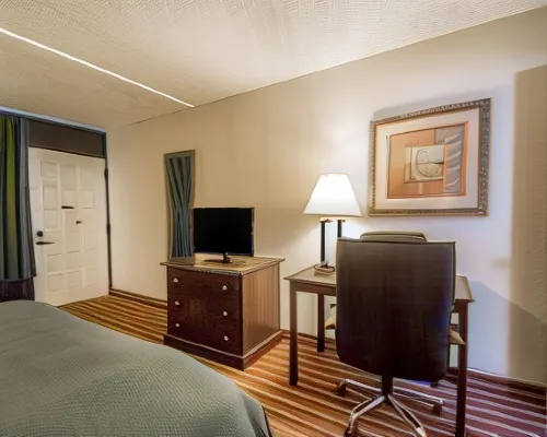 Quality Inn & Suites at Tropicana Field Rooms Photos