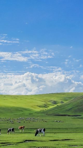 4D3N • Hohhot + Huitengxile Grassland + Hongshiya National Ecological Park Inner Mongolia