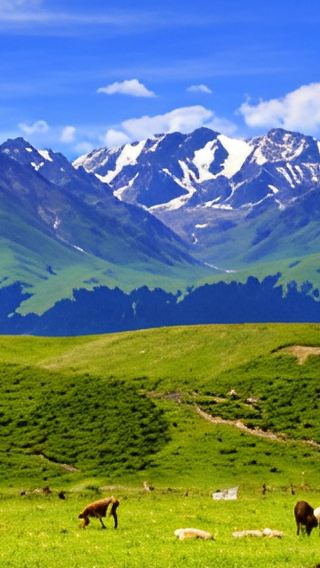 5D4N • Northern Xinjiang + Ili + Sayram Lake + Kurdenin Scenic Area + Nalati Scenic Area + Guozigou Bridge + Urumqi