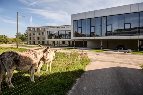 Afterwork Hotel Exterior Photos