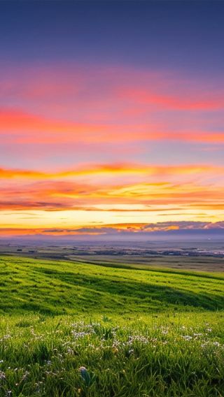 7D6N • Northern Xinjiang + Sayram Lake + Nalati Scenic Area + Kalajun National Park