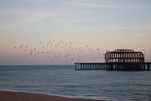 My Brighton Loisirs et amusements Photos