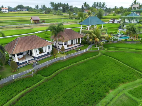 Cahaya Ubud Villa Eksterior Photos