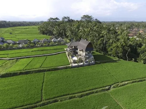 Royal JJ Ubud Resort & Spa Featured Photos