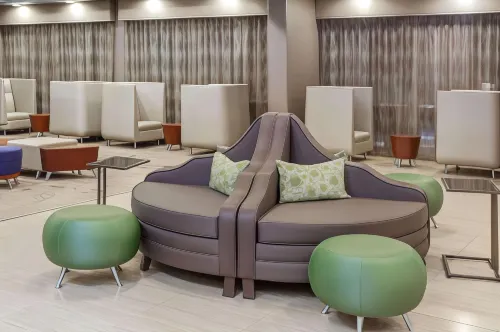 Wyndham Garden Elk Grove Village/O'Hare Public Areas Photos