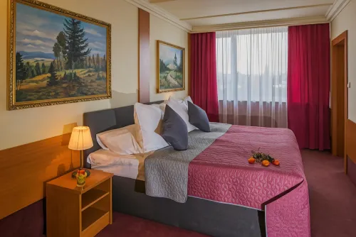 Top Hotel Praha Chambres Photos