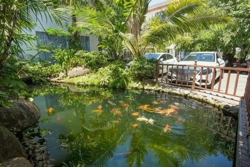 Hội An Reverie Villas Khu vực công cộng Photos