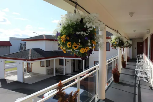 BK's Rotorua Motor Lodge Espaces publics Photos