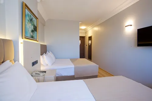 Grand Ant Hotel Rooms Photos