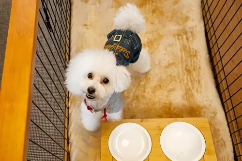 Hotel Morinokaze Tateyama‎ Photos