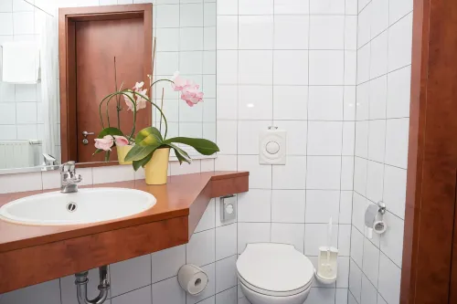 Amedia Frankfurt Russelsheim Trademark Collection by Wyndham Zimmer Photos