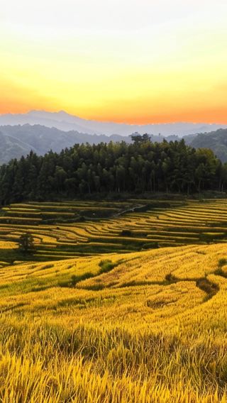 2D • Qingyuan - No Shopping Stops, Visit the Thousand-year Hot Spring Springhead - Fogang Qiaochun Hot Spring Resort