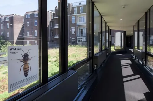 Conscious Hotel Vondelpark Yleiset tilat Photos