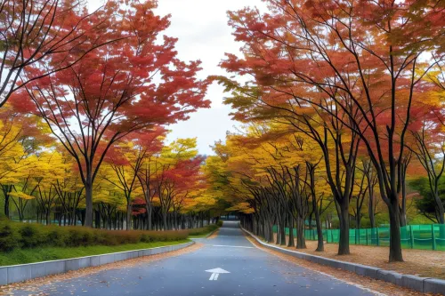 호텔카리스 호텔 주변 Photos