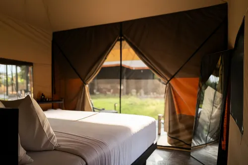 TOTEME GLAMPING HOTSPRING KINTAMANI Unggulan Photos