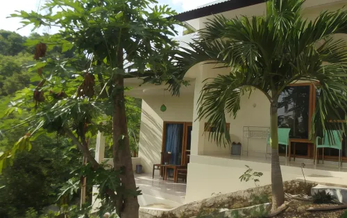 CF Komodo Hotel Area Publik Photos