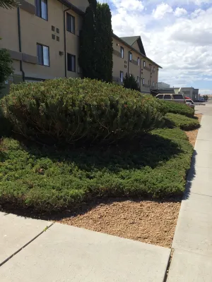 Super 8 by Wyndham Idaho Falls Exterior Photos