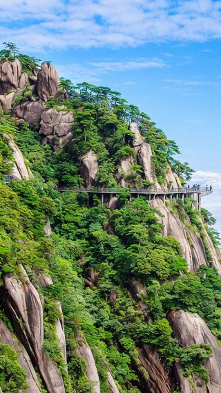 5D4N • JiangxiLushan National Park + Jingdezhen + Sanqingshan Mount Scenic Area + Wuyuan + Vagoo Scenic Area