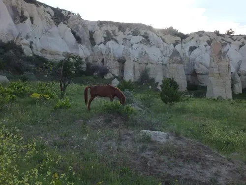 Anatolia Cave Hotel Pension Near Hotel Photos
