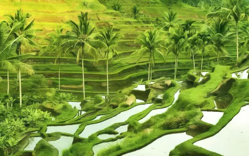 Asvara Villa Ubud by Ini Vie Hospitality Dekat Hotel Photos