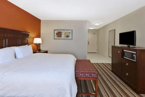 Hampton Inn Detroit/Southgate Phòng Photos