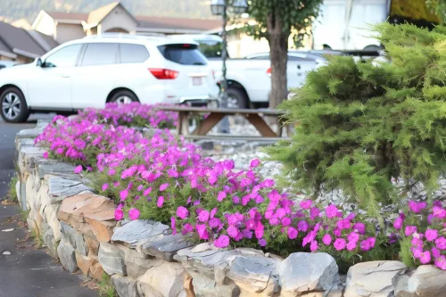 Best Budget Inn & Suites Kamloops Public Areas Photos