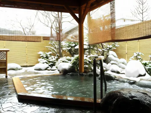 湯澤新大谷日式旅館 休閒娛樂 Photos