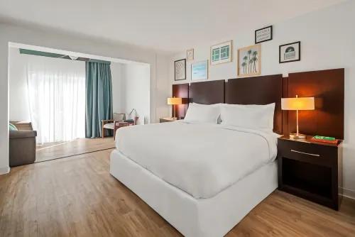 Palm Tree Club Miami Hotel Rooms Photos