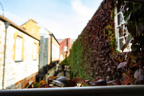 The Swan Hotel, Wells, Somerset - the Coaching Inn Group Near Hotel Photos