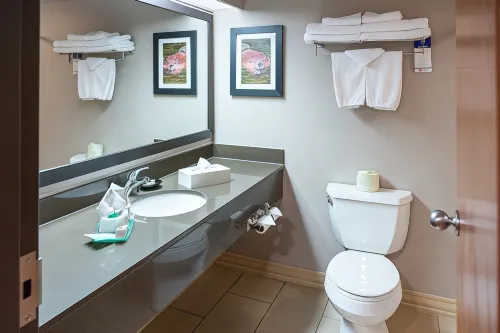 Pocaterra Inn and Waterslide Chambres Photos