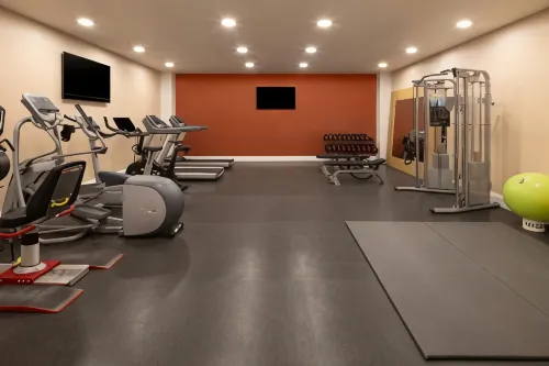 Hampton by Hilton London Gatwick Airport Leisure & Recreation Photos