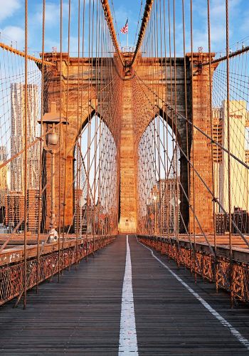 5D4N • Experience Eastern USA Prestige Schools and Culture · Philadelphia + Washington DC + Boston & Unlock Eastern USA Political Landmarks, Centennial Prestige Universities, Historic Town Charm