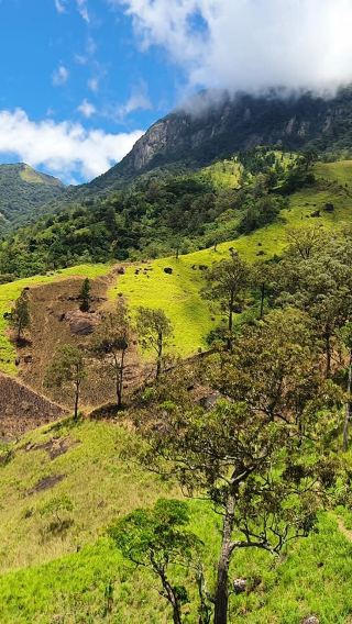 7D6N • Sri Lanka+Dambulla + Colombo + Sigiriya Lion Rock + Temple of the Sacred Tooth Relic + Yala National Park + Mirissa Whale Watching Cruise + Coastal Train Ride
