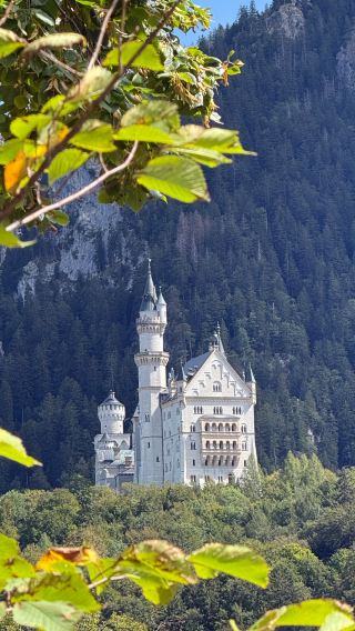 9D8N • Private Germany & Netherlands Tour - Munich · Romantic Road · Heidelberg · Cologne · Rotterdam · Amsterdam