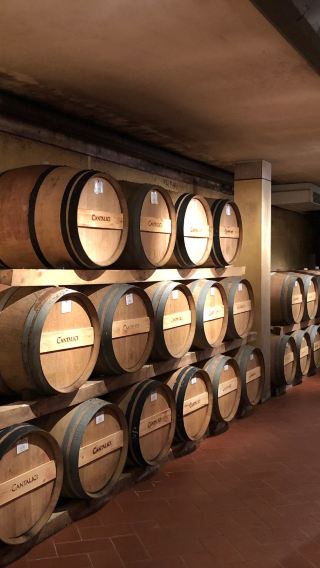 4D3N • Italy + Florence + Siena + Montepulciano + Tuscany + Cantalici Winery + Cattedrale di Santa Maria Asunta