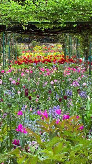 3天2晚 • 法國巴黎＋莫奈花園＋聖米歇爾山＋香波堡