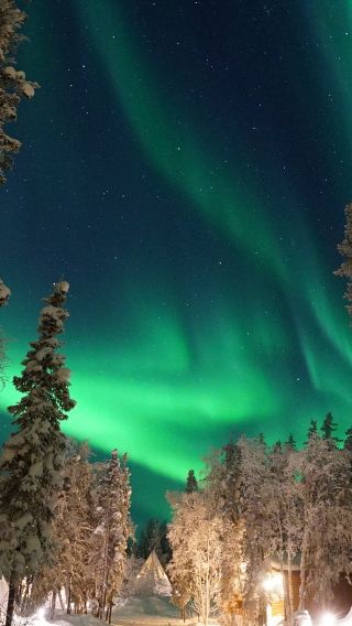 9D8N • 9 days Aurora Legend Yellowknife and Canadian Rockies 