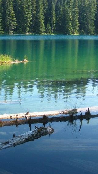 8D7N • Rockies Western Canada Iconic Sites Tour, Banff National Park and Jasper National Park 