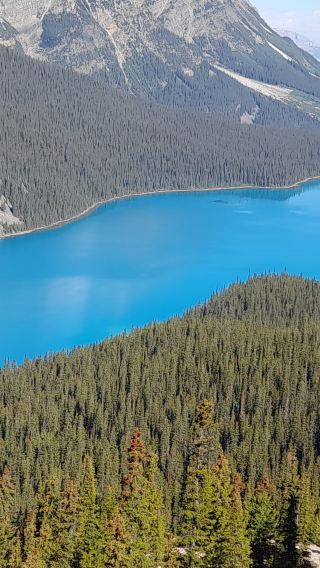 6D5N • Calgary + Banff + Yoho National Park Slow Tour, 3 Nights Stay in Banff · Includes Banff Gondola + Moraine Lake Shuttle + Columbia Icefield Adventure Tickets