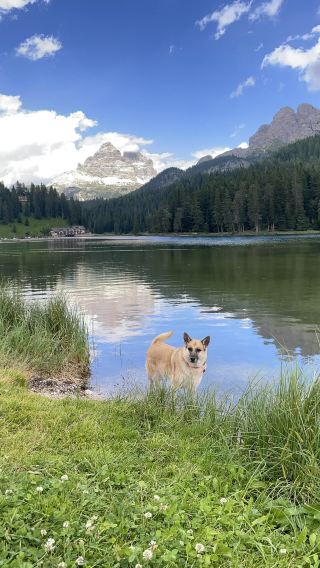 4D3N • Italy + Dolomites + Tre Cime di Lavaredo + Lago di Braies + Alpe di Siusi + Seceda + Lago di Carezza + Encounter with the Dolomites and lakes reflect the peaks