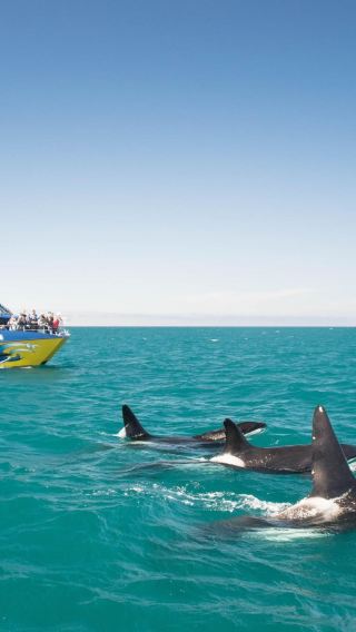 6D5N • New Zealand - South Island - Queenstown - Tekapo - Christchurch
