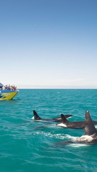 8D7N • New Zealand South Island Central - East Coast - Kaikoura -Milford Sound - Aoraki Mount Cook