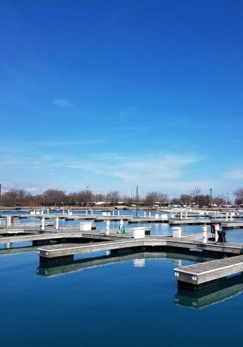 7D6N • Lassic Chicago Panorama Tour: Oak Street Beach + Art Institute of Chicago + Field Museum + Shedd Aquarium + Montrose Beach Bird Watching
