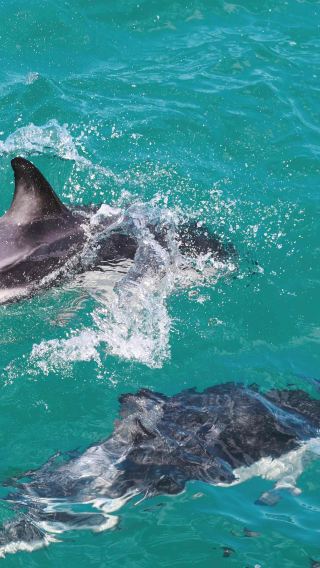 13D12N • New Zealand North Island, South Island Loop + Milford Sound + East & West Coasts