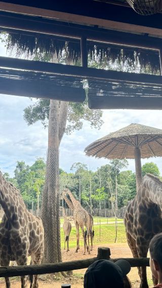 2D1N • Phu Quoc Island Discover the northern part of Phu Quoc