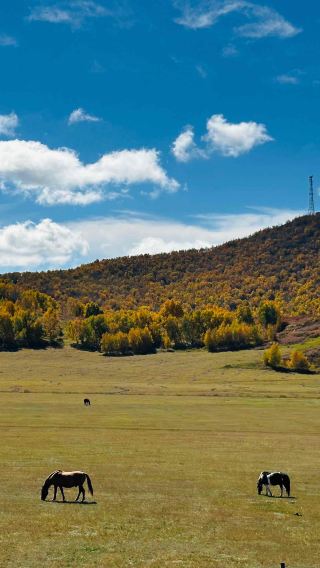 4D3N • China + Inner Mongolia + Chifeng + Ulan Butung Grasslands