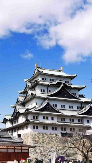 6D5N • Exquisite Short Break Collection-Nagoya, Kyoto, Nara, Osaka, Kobe, Himeji, Hiroshima