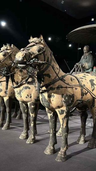 4D3N • Emperor Qinshihuang's Mausoleum Site Museum + Xi'an Museum + Xi'an City Wall + Grand Tang Mall